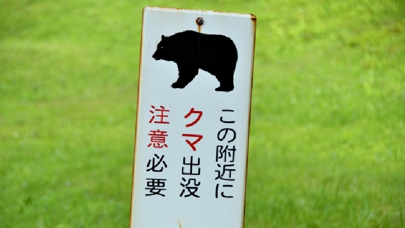 クマ出没注意